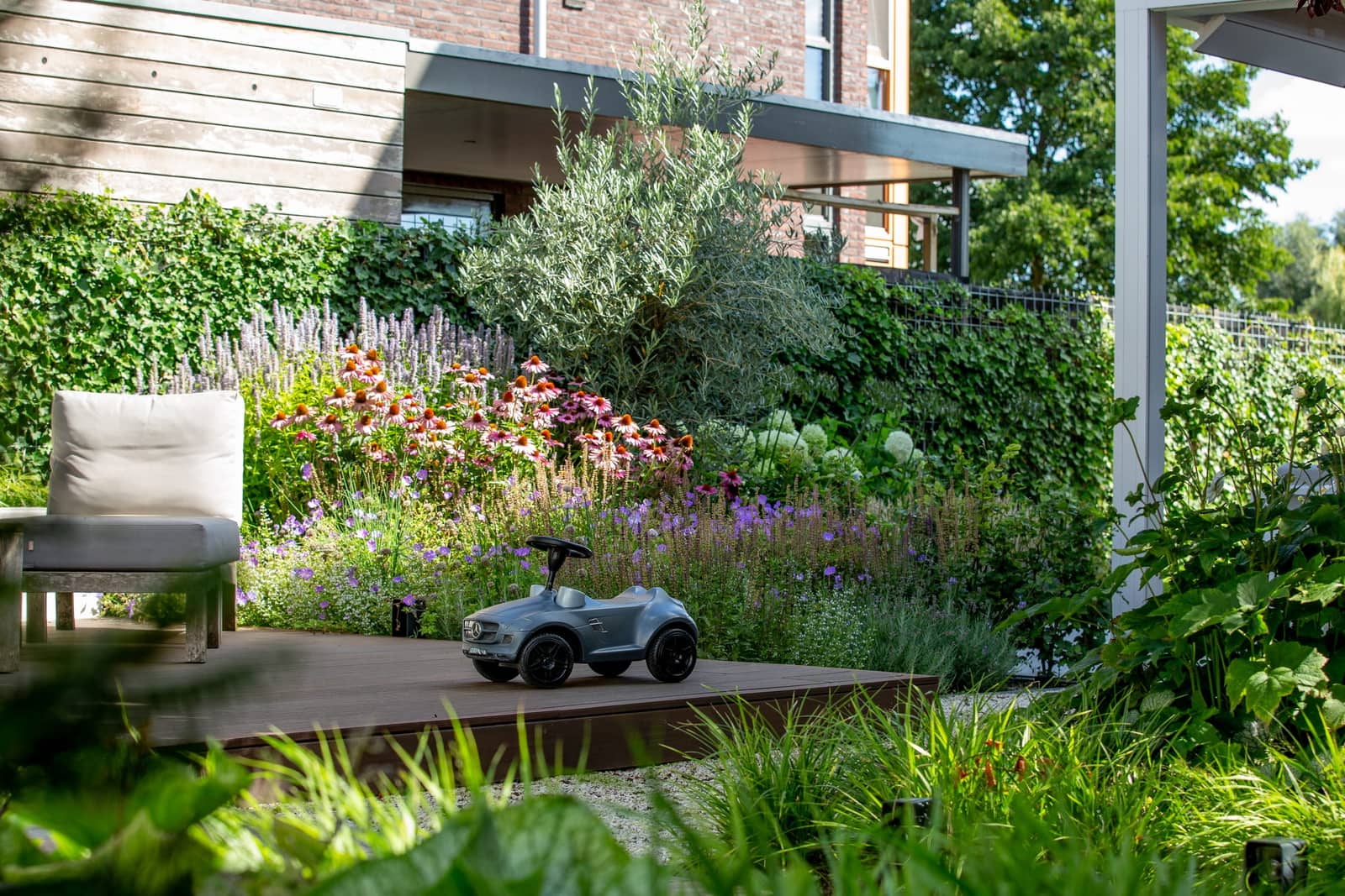 Weelderige achtertuin met een bloeiende vasteplantenborder, olijfboom en houten vlonderterras bij een moderne woning