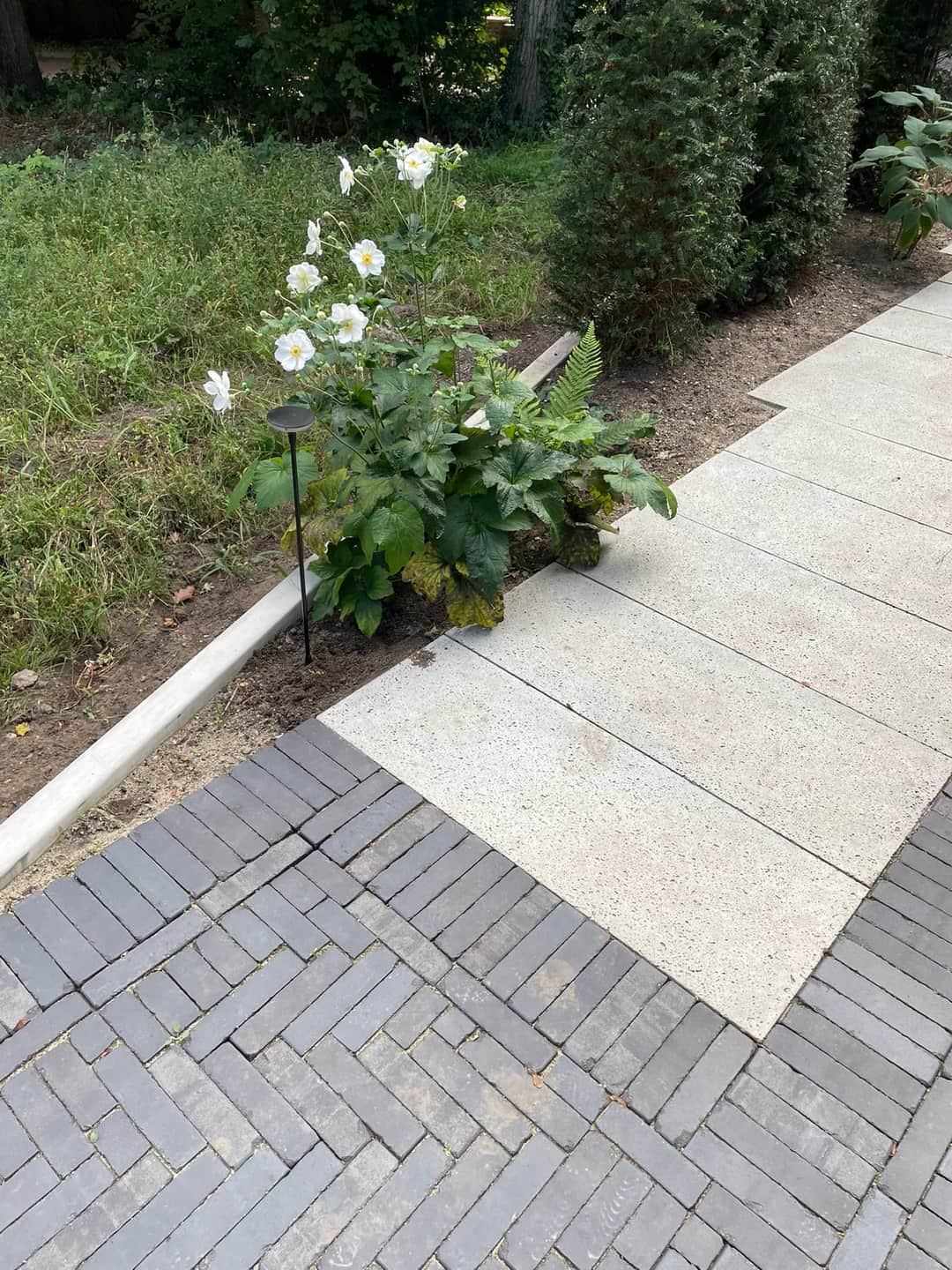 Aangelegde voortuin in Doorwerth door Van Rijbroek Hoveniers — foto 7 van 9