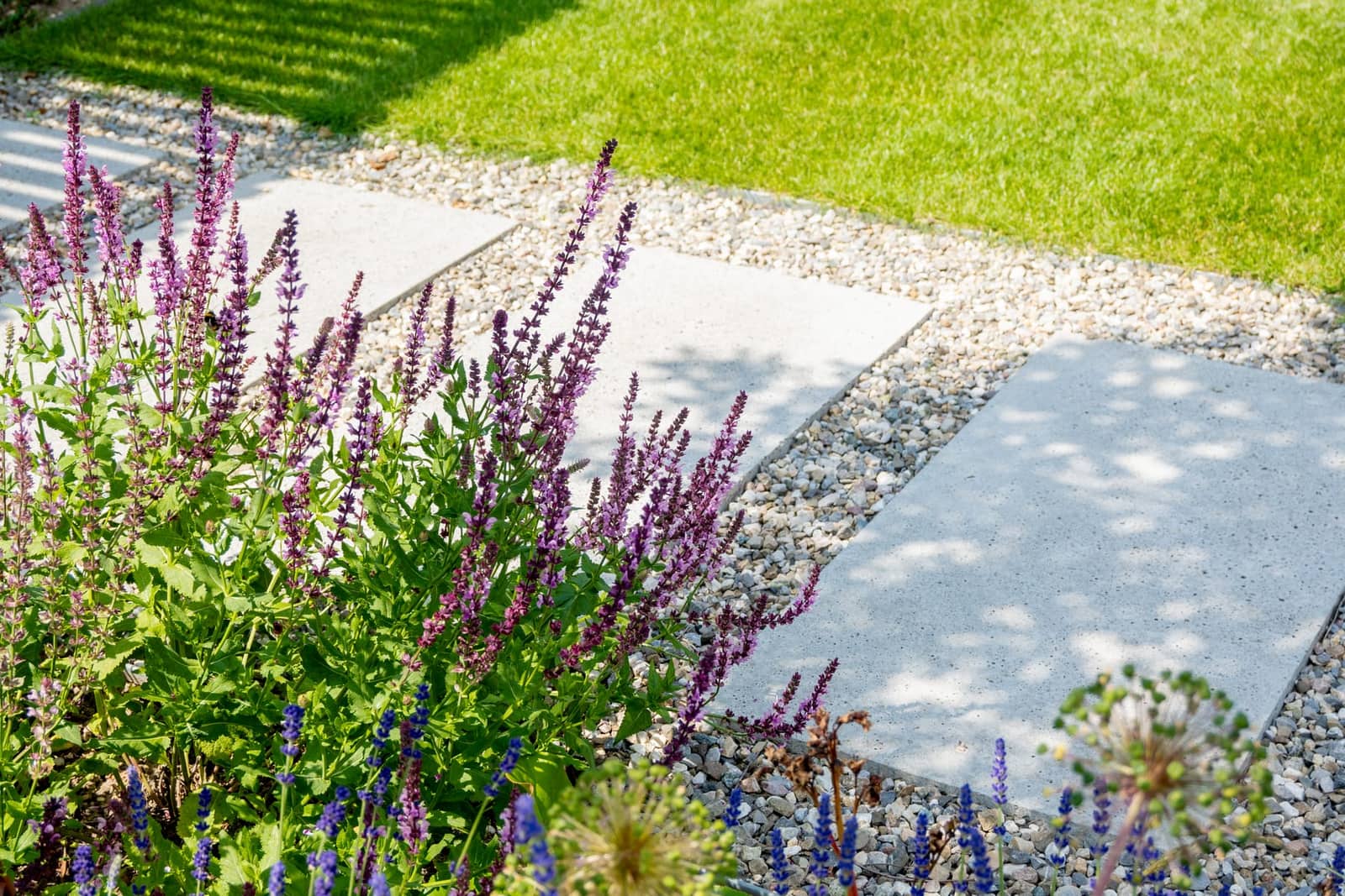 Aangelegde stadstuin in Nijmegen door Van Rijbroek Hoveniers — foto 6 van 11